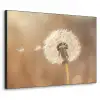 Paardenbloem - Beige - Natuur - Bloem Textielframe zwart klein -3d
