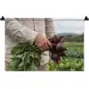 Bieten - Vers - Moestuin Wandkleed katoen klein -zz3d