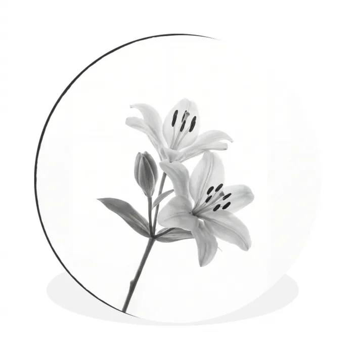Lelies - Elegant - Zwart - Wit Wandcirkel aluminium klein -3d