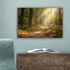 Zonlicht - Bospad - Bomen canvas 2cm klein -sfeer4
