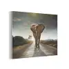 Olifant - Weg - Dieren - Zonsondergang - Landschap PET vilt klein -3d