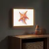 Zeester - Oranje - Paars Light Box met batterij (Wandlamp kind) middel -sfeer5_kind
