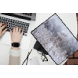 Schermbloem - Rijp - Kristallen - Winter - Delicaat laptophoes neopreen klein -bureau
