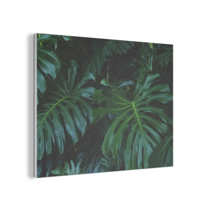 Monstera - Bladeren - Tropisch - Jungle PET vilt klein -3d