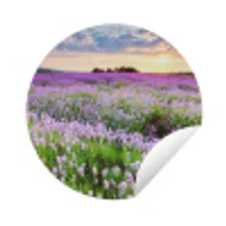Bloemen - Lavendel - Paars - Lucht - Zonsondergang - Weide - Natuur Wandcirkel tuinposter met ringen klein -3d