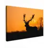 Hert - Oranje - Silhouet - Dieren - Natuur canvas 2cm klein -z3d
