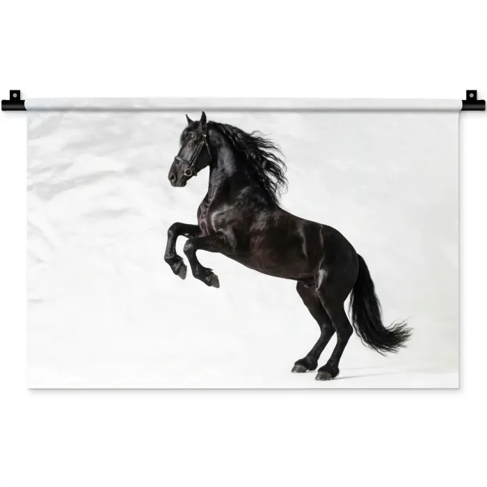 Zwart - Paard - Portret Wandkleed katoen klein -zz3d