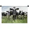Koeien - Gras - Lente - Dieren - Weiland - Boerderij Wandkleed katoen klein -zz3d