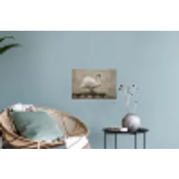 Zwaan - Elegant - Dieren - Wit Muursticker klein -plant