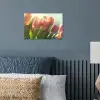 Tulpen - Roze - Zonnestralen poster papier klein -sfeer2