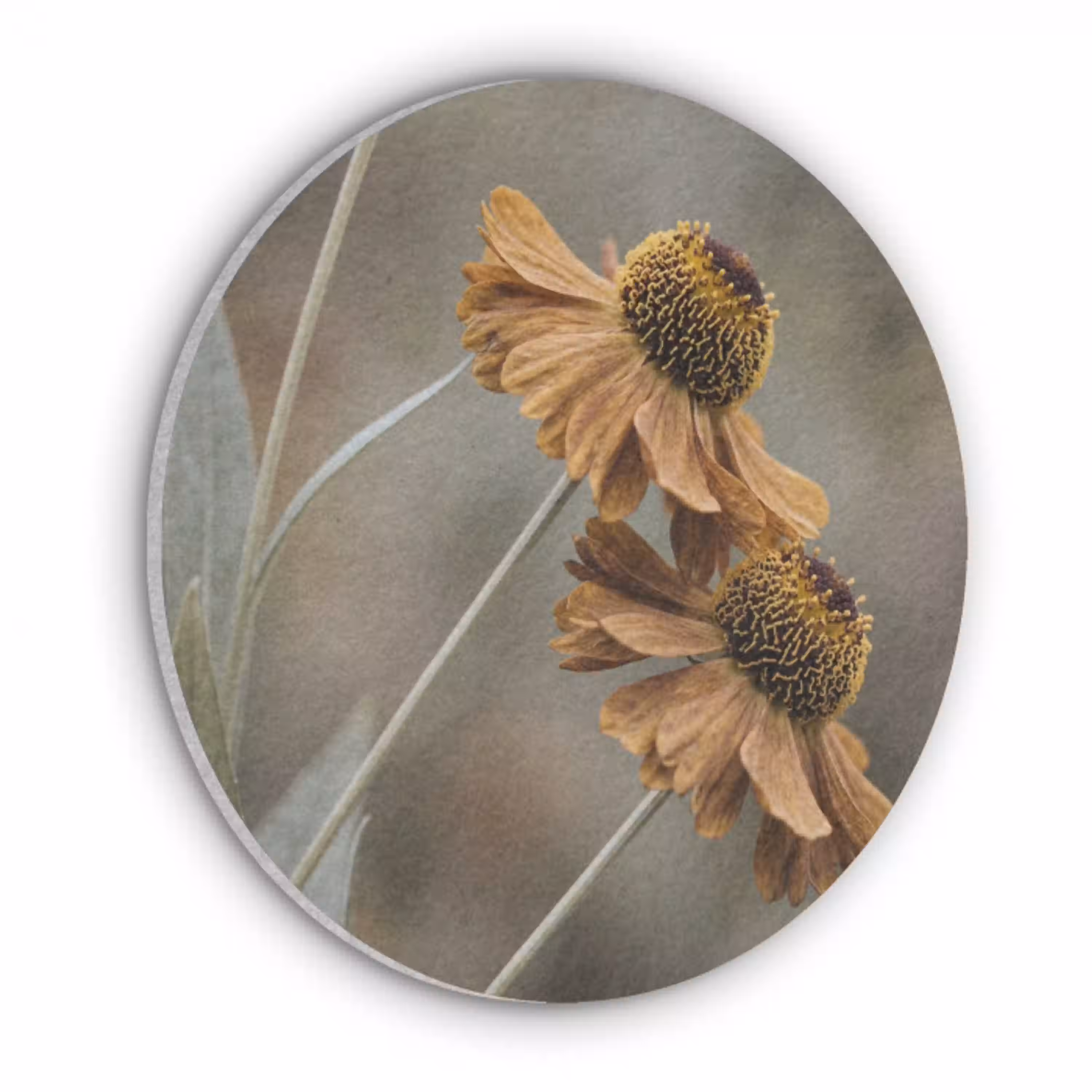 Zonnehoed - Droogbloemen - Geel - Warm Akoestische PET Vilt - Rond klein -3d