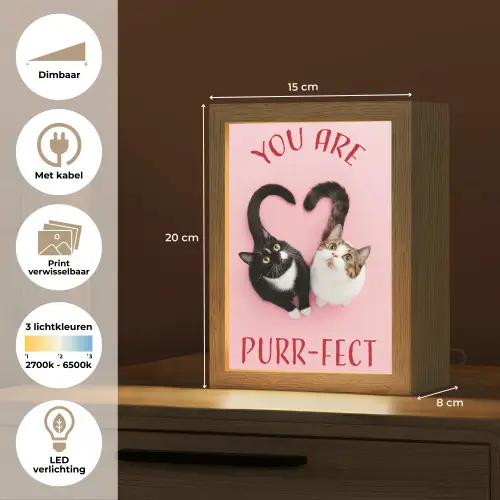 Kat - Hart - Tekst - Valentijn Light Box met kabel (Wandlamp) klein -USP_websiteoverzichtNL