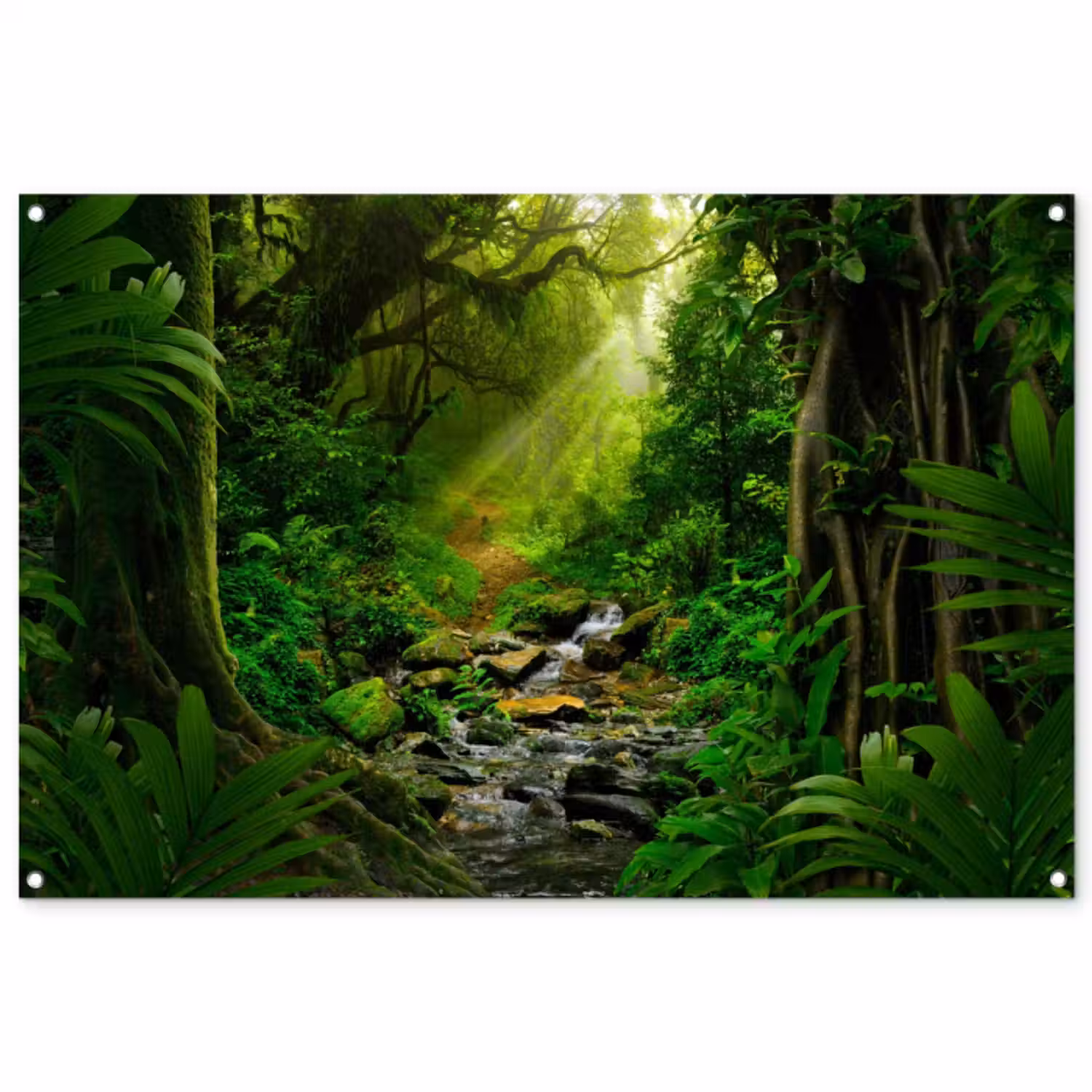 Tuinposter - Zonnige Stralen in het Regenwoud
