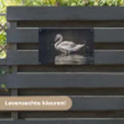 Vogel - Zwaan - Water tuinposter los doek klein -sfeer3