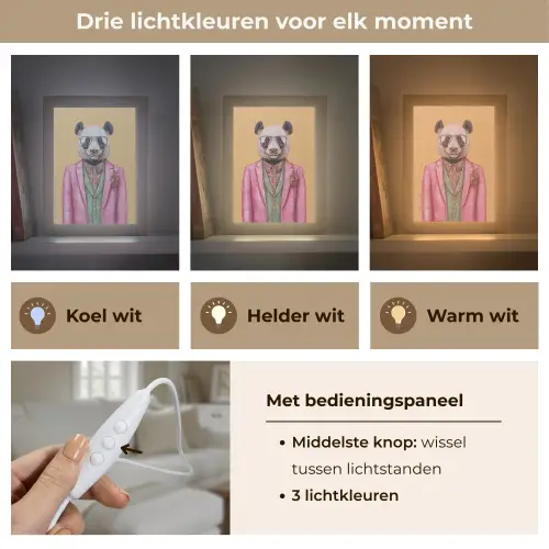 Panda - Pak - Zonnebril - Blauw Light Box met kabel (Tafellamp) klein -USP_lichtkleurNL