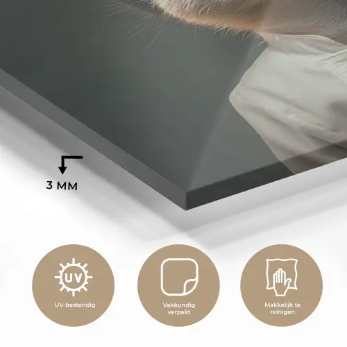 Dier - Kok - Stokstaartje plexiglas 5mm klein -sfeer2