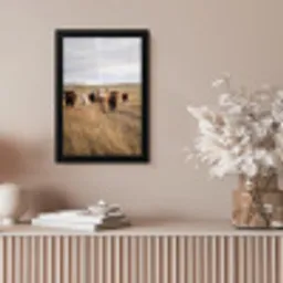 Runderen - Kudde - Landschap - Weide - Rustig fotolijst zwart zonder passe partout klein -sfeer5