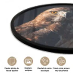 Roofvogel - Buizerd - Bruin Fotolijst rond zonder passe partout klein -closeup_FR