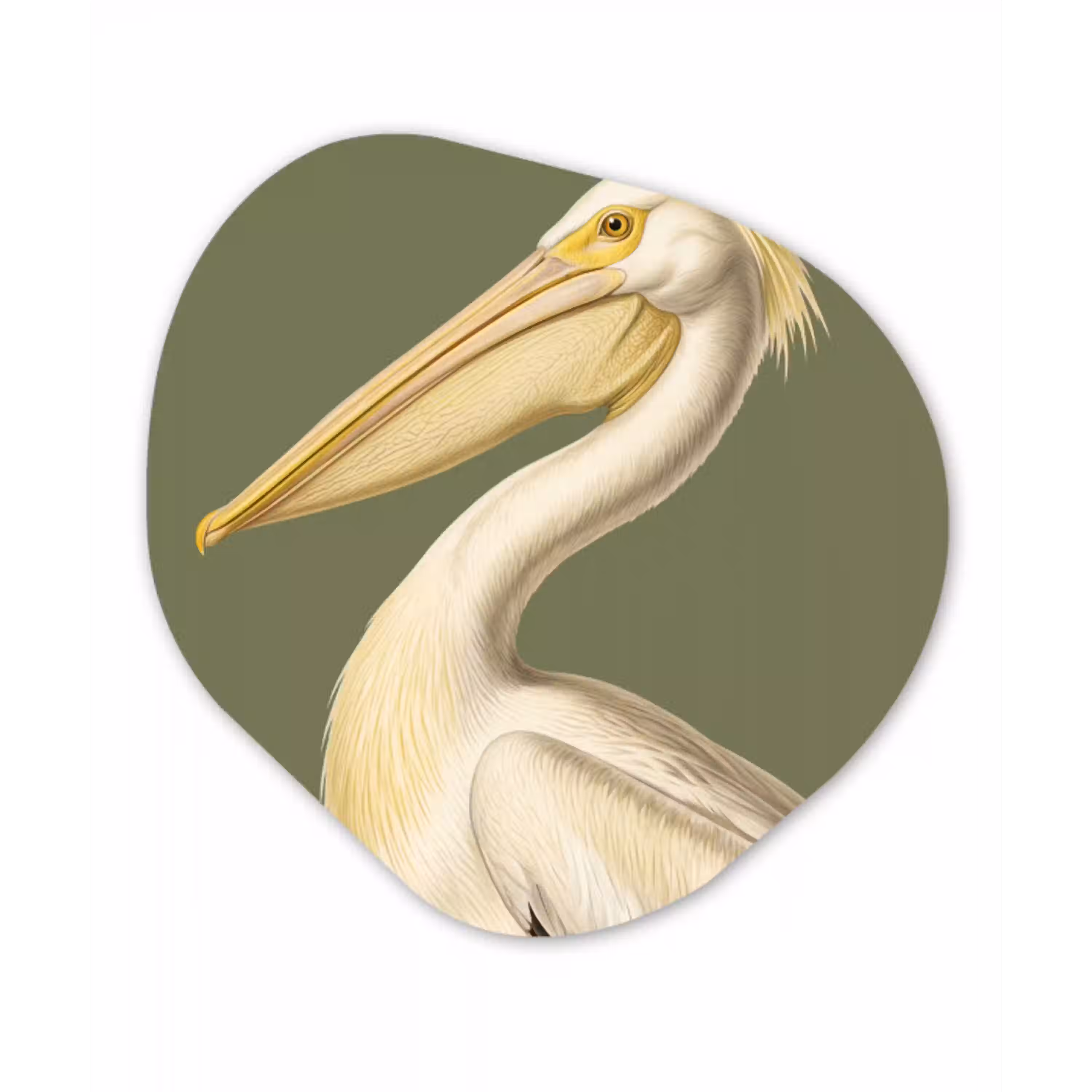 Pelikaan - Wit - Vogel - Klassiek - Natuur Wandcirkel Organisch Aluminium middel -3d