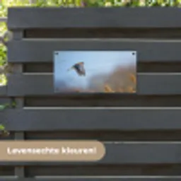 Kleurrijke valk aan het vliegen tuinposter los doek klein -sfeer3