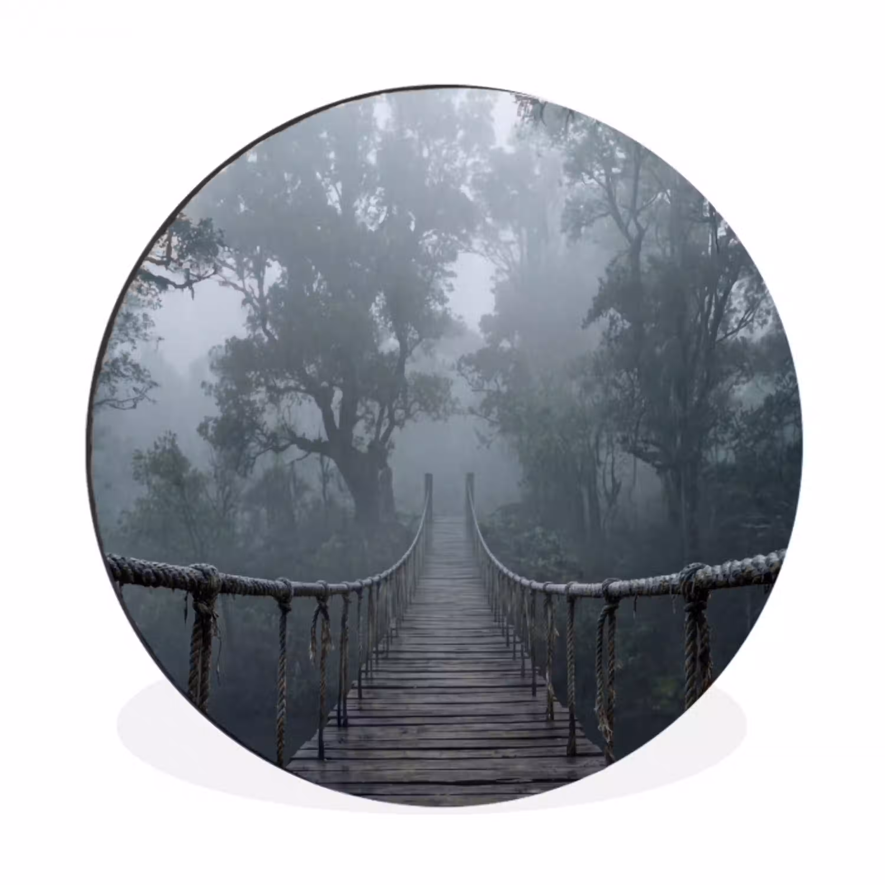 Brug - Jungle - Mist - Natuur Wandcirkel aluminium klein -3d