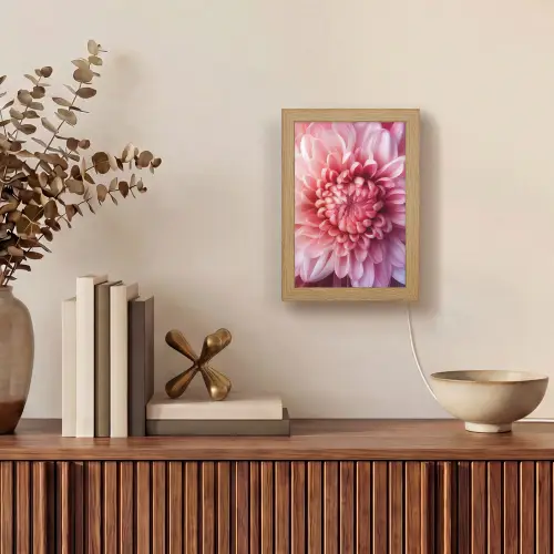Dahlia - Bloem - Close up - Roze Light Box met kabel (Tafellamp) klein -sfeer2