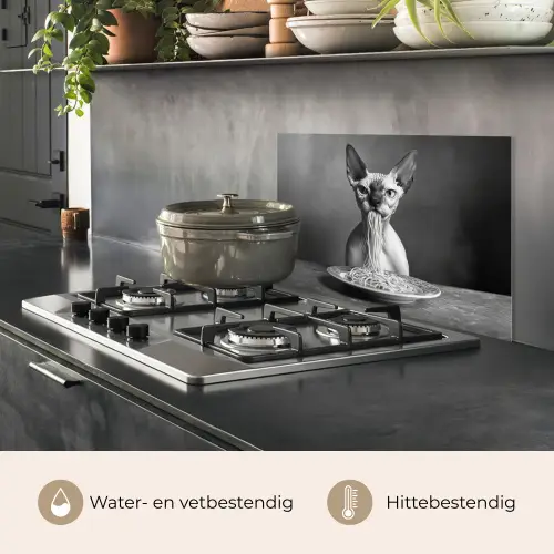 Sphynx - Kat - Dieren - Humor - Spaghetti - Zwart Wit keuken achterwand spatscherm klein -usp_NL