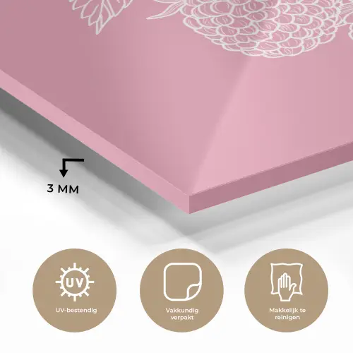 Frambozen - Steel - Getekend - Roze plexiglas 5mm klein -sfeer2