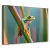 Kleurrijke kikker - Groene stengel - Alert Textielframe zwart klein -3d