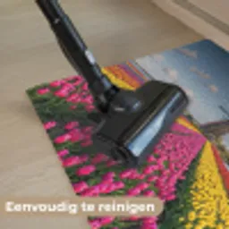 Tulpen - Holland - Molen - Kleurrijk Deurmat klein -reinigen_NL
