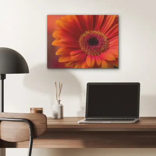 Oranje - Gerbera - Intens PET vilt klein -sfeer5