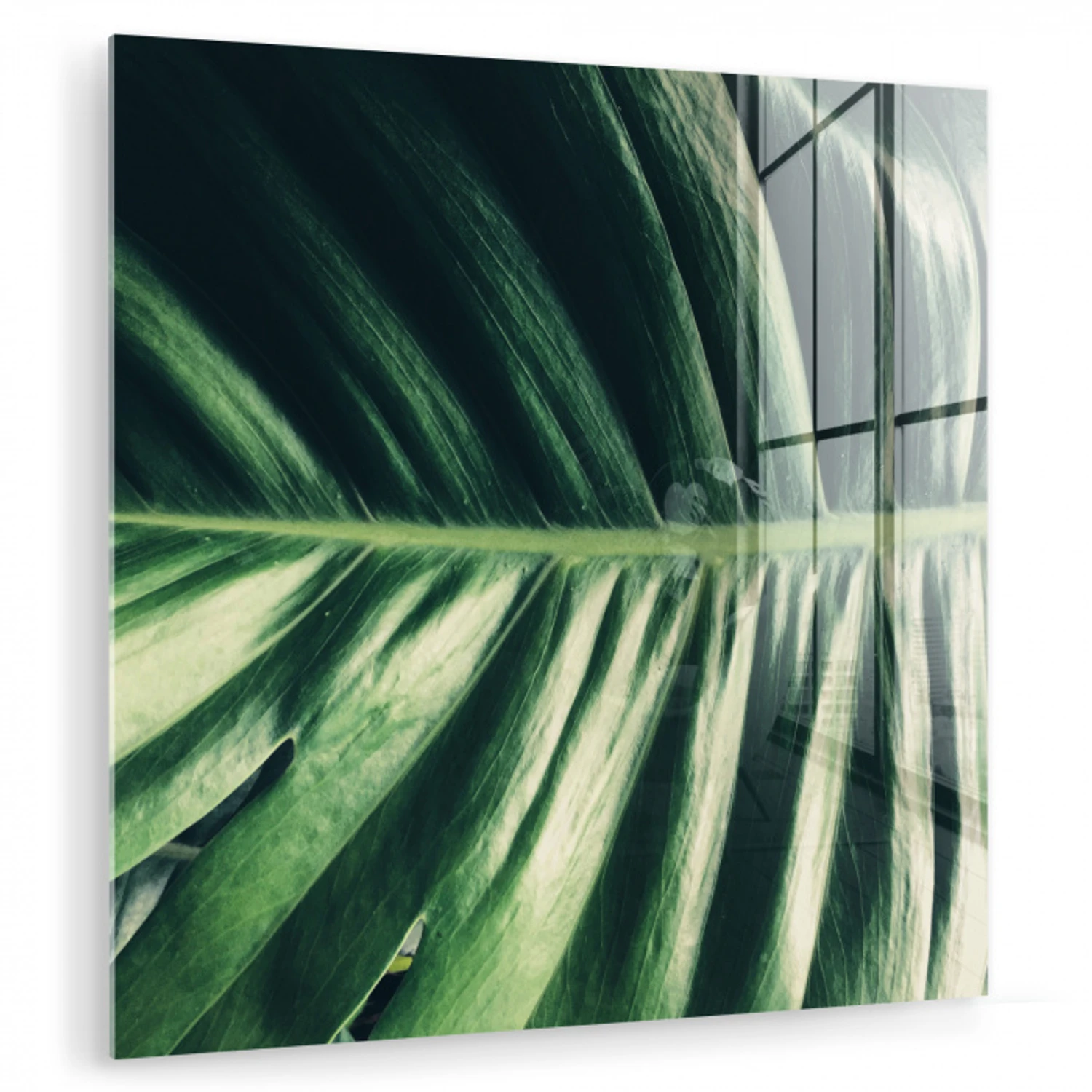 Tropisch - Inductie mat - Natuur - Inductie beschermer - Jungle plexiglas 5mm klein -zzzproduct_nieuw