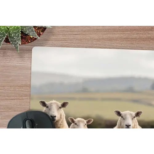 Schapen - Weidenlandschap - Heuvels muismat rubber klein -closeup