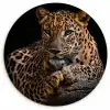 Wilde dieren - Panter - Portret - Zwart - Dieren Wandcirkel kunststof plaat 5mm dik klein -3d