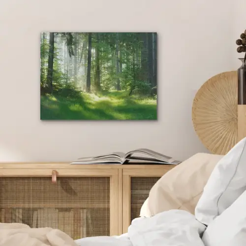 Natuur - Bomen - Bos - Groen - Zon - Gras - Planten PET vilt klein -sfeer3