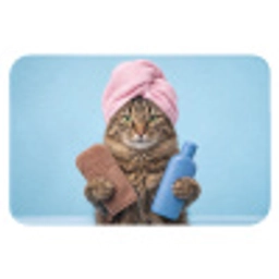 Kat - Handdoek - Washand - Zeep Badmat klein -3d