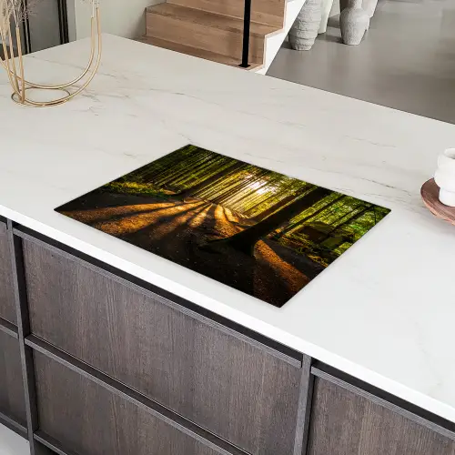 Zon - Bomen - Bos - Landschap - Natuur Inductie beschermer vinyl 3mm middel -sfeer8
