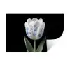 Tulp - Patroon - Blauw Muursticker klein -3d