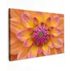 Dahlia - Bloem - Oranje Tuinposter op houten frame 2 cm dik klein -3d