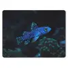 Vis - Stippen - Koraal - Blauw muismat rubber klein -3d