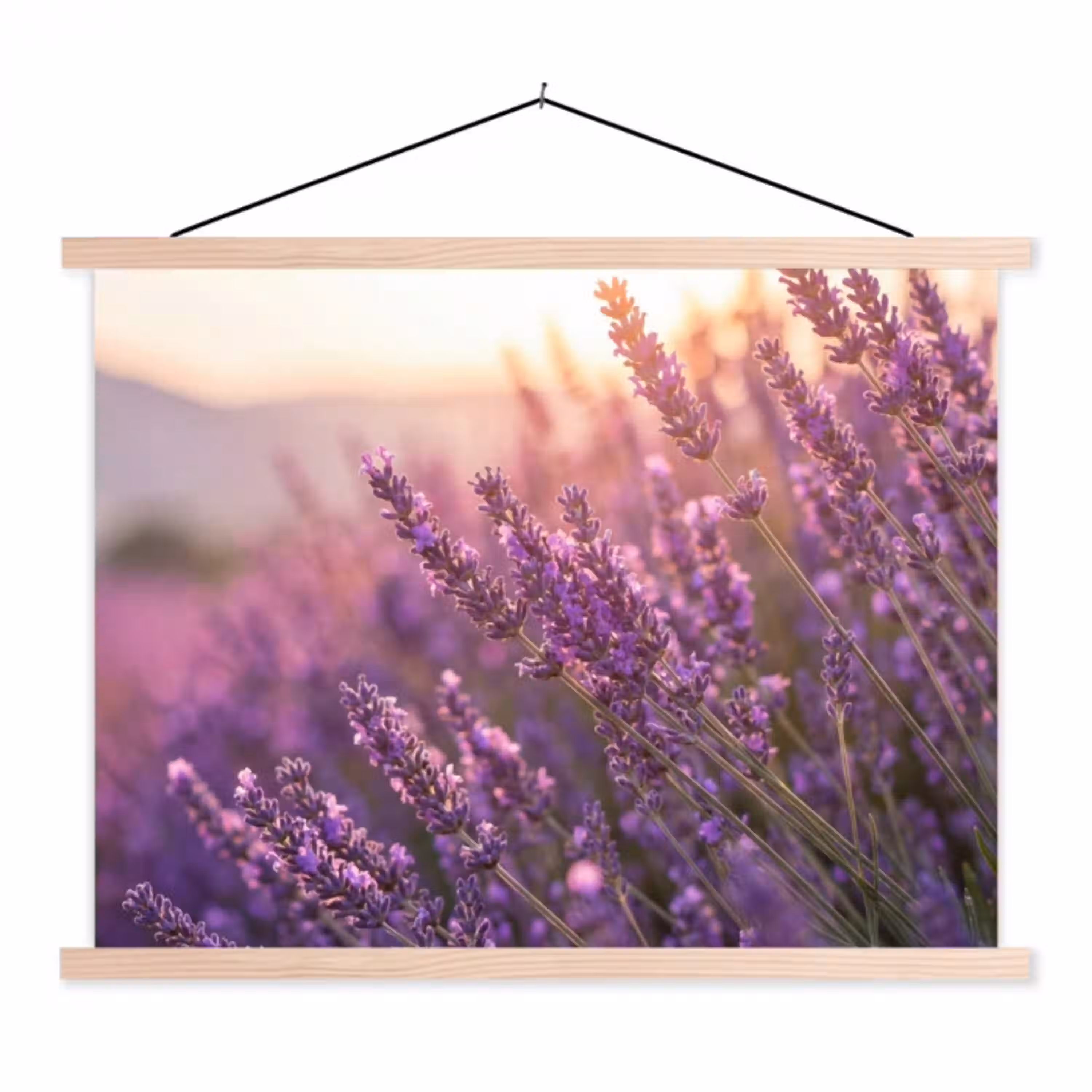Lavendel - Paars - Zonlicht textielposter latten blank klein -3d