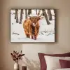 Schotse Hooglander - Sneeuw - Winter - Natuur - Dieren Textielframe zwart klein -sfeer1