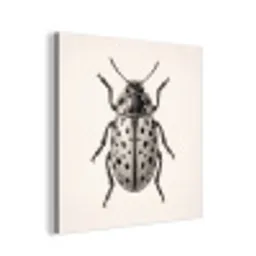 Kever - Insect - Vintage aluminium wit klein -3d