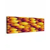 Vrucht - Waterdruppels - Oranje canvas 2cm klein 828 -z3d