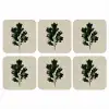 Eikenbladeren - Beige - Groen - Golvende randen onderzetter kurk middel -3d