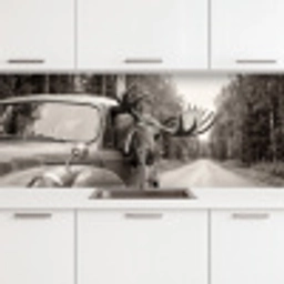 Eland - Auto - Gewei - Zwart - Wit keuken achterwand 2 middel -3d