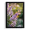 Sierlijke - Vlinder - Paarse - Bloemen fotolijst zwart zonder passe partout klein -3d