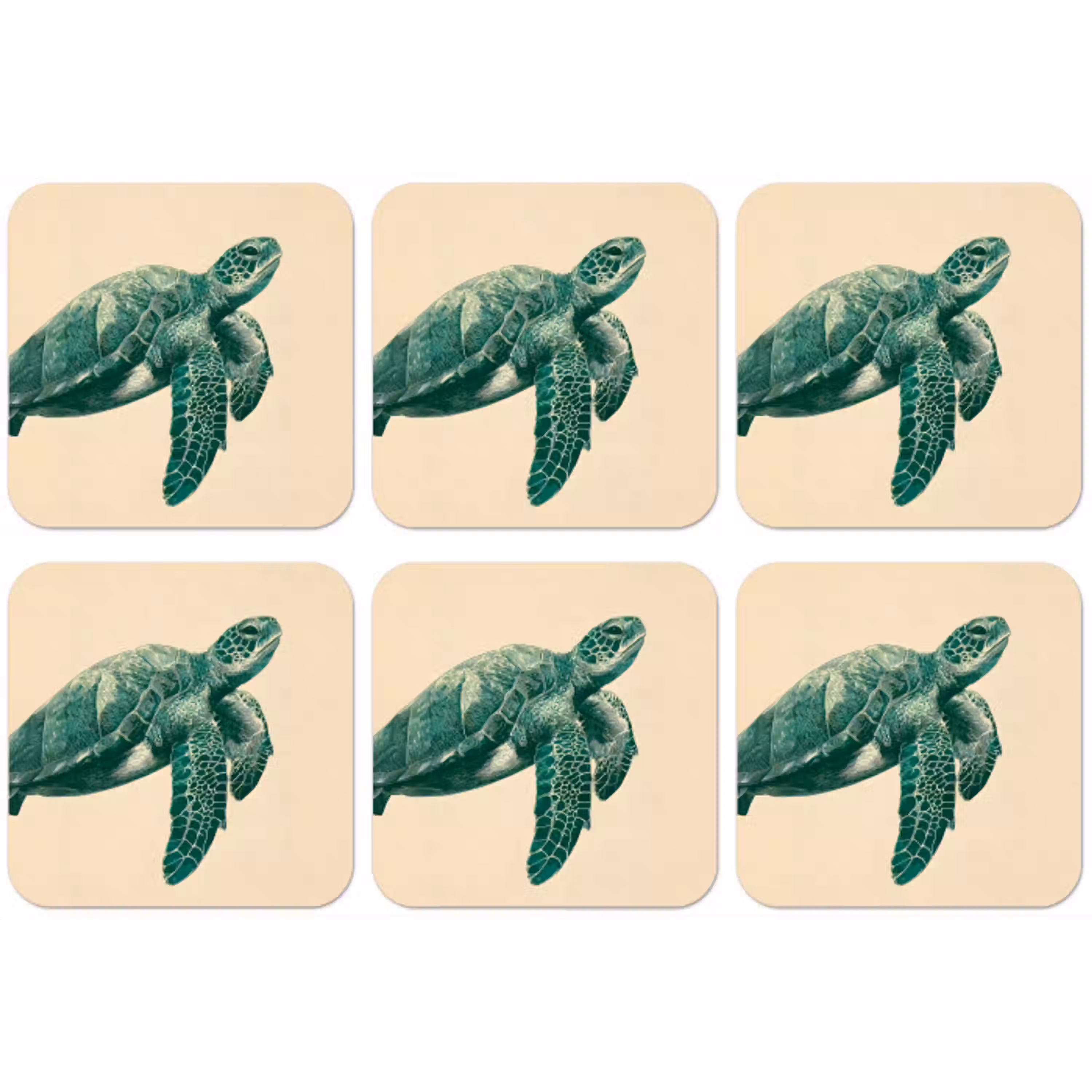 Schildpad - Sierlijk - Groen - Schild onderzetter kurk middel -zkaufland3dotto