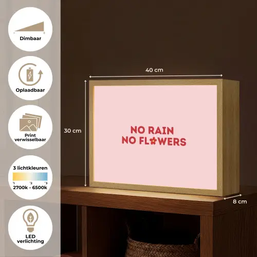 No rain no flowers - Minimalistisch - Roze - Bloem Light Box met batterij (Wandlamp) middel -USP_websiteoverzichtNL