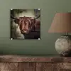 Schotse hooglander - Licht - Portret - Natuur plexiglas 5mm klein -sfeer3